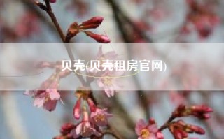 贝壳(贝壳租房官网)
