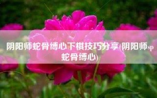 阴阳师蛇骨缚心下棋技巧分享(阴阳师sp蛇骨缚心)