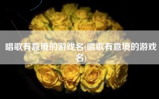 唱歌有意境的游戏名(唱歌有意境的游戏名)