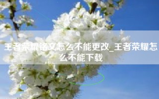 王者荣耀铭文怎么不能更改_王者荣耀怎么不能下载