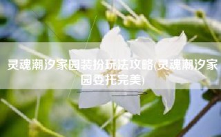 灵魂潮汐家园装扮玩法攻略(灵魂潮汐家园委托完美)