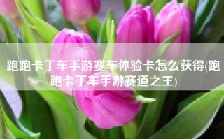 跑跑卡丁车手游赛车体验卡怎么获得(跑跑卡丁车手游赛道之王)