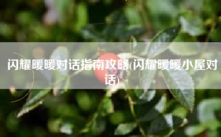 闪耀暖暖对话指南攻略(闪耀暖暖小屋对话)