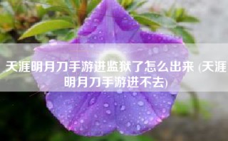 天涯明月刀手游进监狱了怎么出来 (天涯明月刀手游进不去)