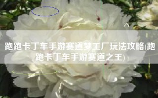 跑跑卡丁车手游赛道梦工厂玩法攻略(跑跑卡丁车手游赛道之王)