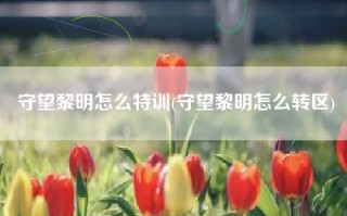 守望黎明怎么特训(守望黎明怎么转区)