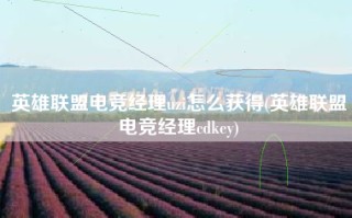 英雄联盟电竞经理uzi怎么获得(英雄联盟电竞经理cdkey)