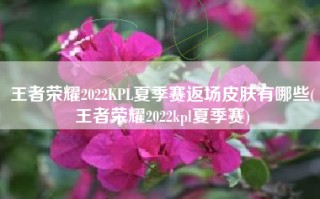 王者荣耀2022KPL夏季赛返场皮肤有哪些(王者荣耀2022kpl夏季赛)
