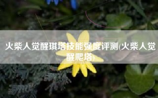 火柴人觉醒琪塔技能强度评测(火柴人觉醒爬塔)
