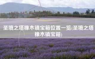 圣境之塔橡木镇宝箱位置一览(圣境之塔橡木镇宝箱)