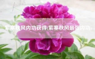 紫塞秋风内功获得(紫塞秋风最强内功)