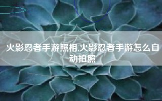 火影忍者手游照相,火影忍者手游怎么自动拍照