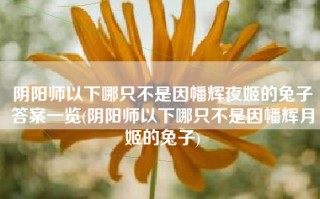 阴阳师以下哪只不是因幡辉夜姬的兔子答案一览(阴阳师以下哪只不是因幡辉月姬的兔子)