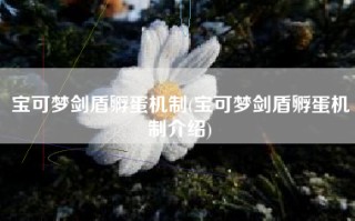 宝可梦剑盾孵蛋机制(宝可梦剑盾孵蛋机制介绍)
