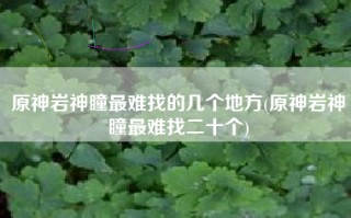原神岩神瞳最难找的几个地方(原神岩神瞳最难找二十个)