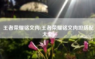王者荣耀铭文肉(王者荣耀铭文肉坦搭配大全)