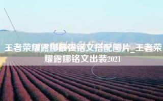 王者荣耀露娜最强铭文搭配图片_王者荣耀露娜铭文出装2021