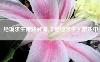 绝境求生游戏武器,《绝地求生》游戏中