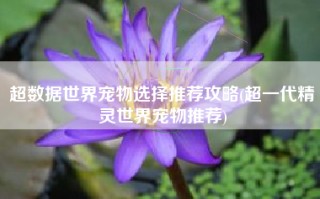 超数据世界宠物选择推荐攻略(超一代精灵世界宠物推荐)