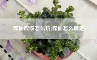 碟仙应该怎么玩(碟仙怎么请走)