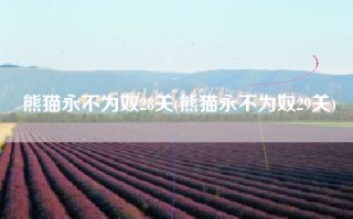 熊猫永不为奴28关(熊猫永不为奴29关)