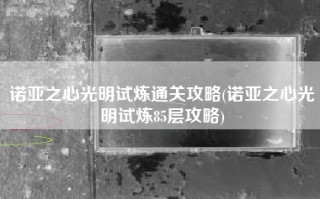 诺亚之心光明试炼通关攻略(诺亚之心光明试炼85层攻略)