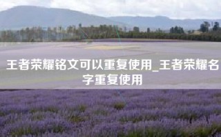 王者荣耀铭文可以重复使用_王者荣耀名字重复使用