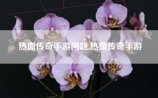 热血传奇手游问题,热血传奇手游