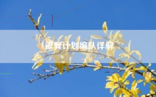 银翼计划编队详解