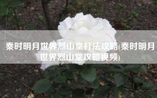 秦时明月世界烈山堂打法攻略(秦时明月世界烈山堂攻略视频)