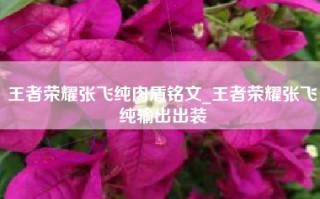 王者荣耀张飞纯肉盾铭文_王者荣耀张飞纯输出出装