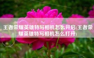 王者荣耀英雄特写相机怎么开启(王者荣耀英雄特写相机怎么打开)