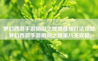 梦幻西游手游阴阳之域周首领打法攻略(梦幻西游手游阴阳之域第八关攻略)