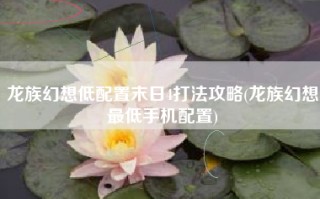 龙族幻想低配置末日4打法攻略(龙族幻想最低手机配置)