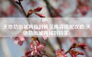 天地劫幽城再临封铃笙阵容搭配攻略(天地劫幽城再临封铃笙)