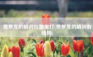 费罗龙的鳞片在哪里打(费罗龙的鳞片有啥用)