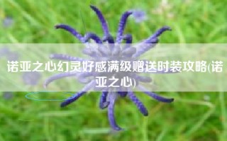 诺亚之心幻灵好感满级赠送时装攻略(诺亚之心)