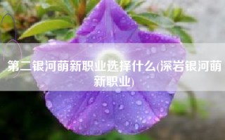 第二银河萌新职业选择什么(深岩银河萌新职业)