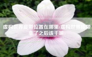 虚构世界皮带位置在哪里(虚构世界皮带拿了之后该干嘛)