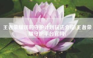 王者荣耀瑶的守护计划玩法介绍(王者荣耀守护平台官网)