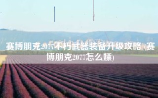 赛博朋克2077不朽武器装备升级攻略 (赛博朋克2077怎么嫖)