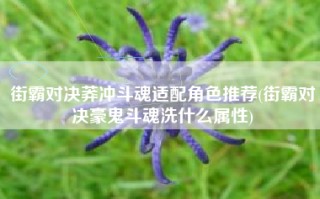 街霸对决莽冲斗魂适配角色推荐(街霸对决豪鬼斗魂洗什么属性)