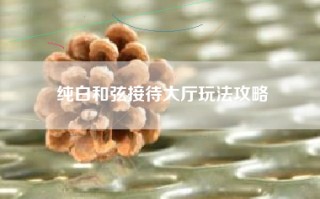 纯白和弦接待大厅玩法攻略
