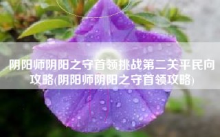 阴阳师阴阳之守首领挑战第二关平民向攻略(阴阳师阴阳之守首领攻略)
