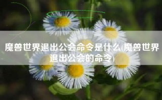 魔兽世界退出公会命令是什么(魔兽世界退出公会的命令)