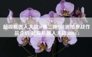 超级机器人大战30第二弹DLC追加参战作品介绍(超级机器人大战30DLC)