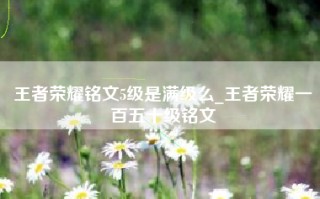 王者荣耀铭文5级是满级么_王者荣耀一百五十级铭文