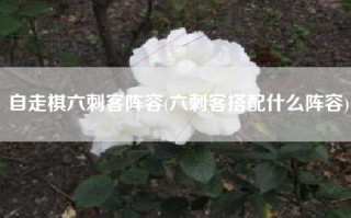 自走棋六刺客阵容(六刺客搭配什么阵容)