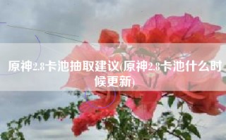原神2.8卡池抽取建议(原神2.8卡池什么时候更新)