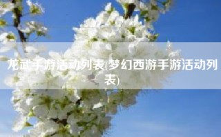 龙武手游活动列表(梦幻西游手游活动列表)
